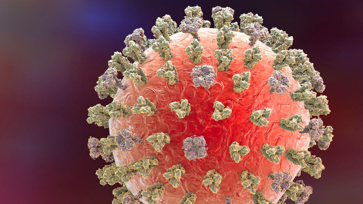 Particular person in Louisiana hospitalized with H5N1 in nation’s 1st excessive case