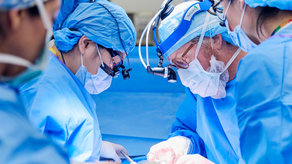 ‘She was prepared for a 1-in-a-million match’: Alabama woman is the third affected particular person to ever get a pig kidney